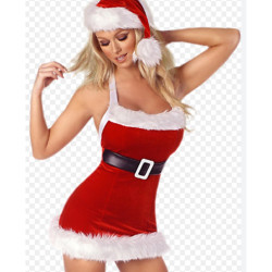Lux Sexy Noel Anne Kostümü