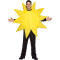 Unisex Yetişkin Güneş Kostümü